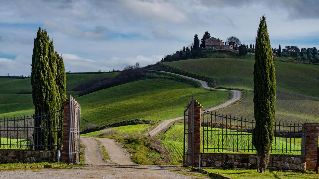 Podere Fossaccio Casa Olivo Asciano Dış mekan fotoğraf