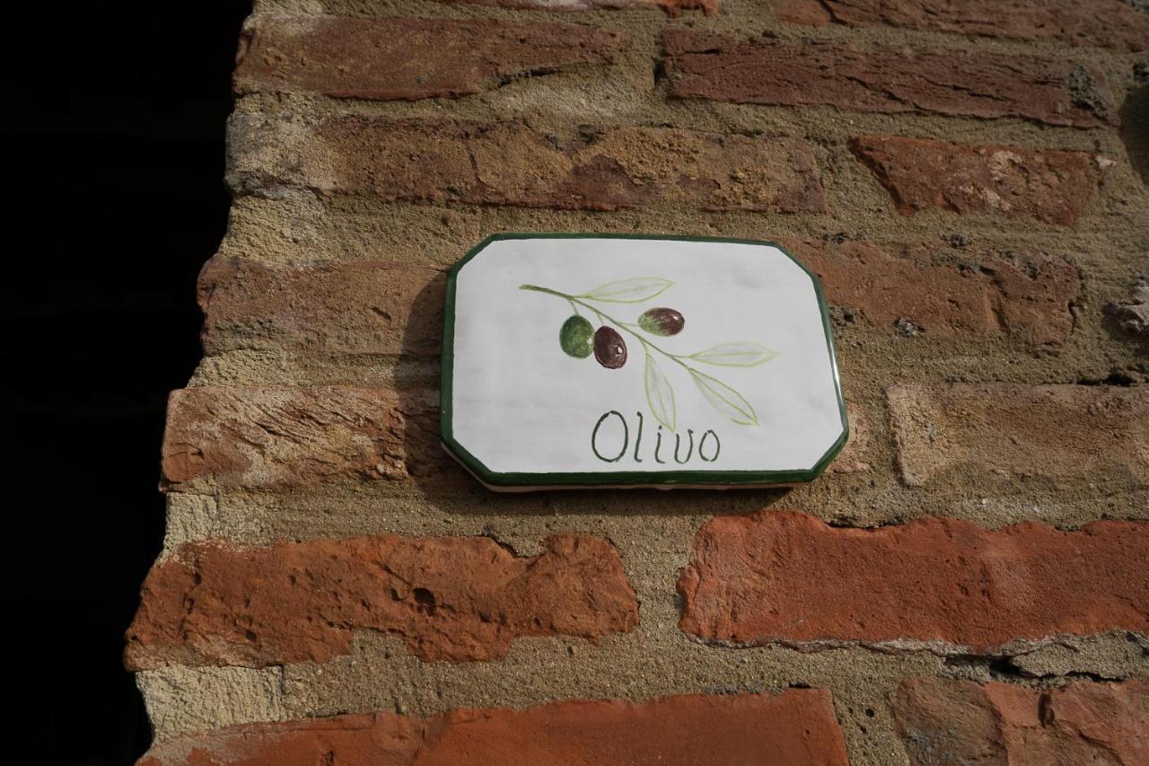 Podere Fossaccio Casa Olivo Asciano Dış mekan fotoğraf