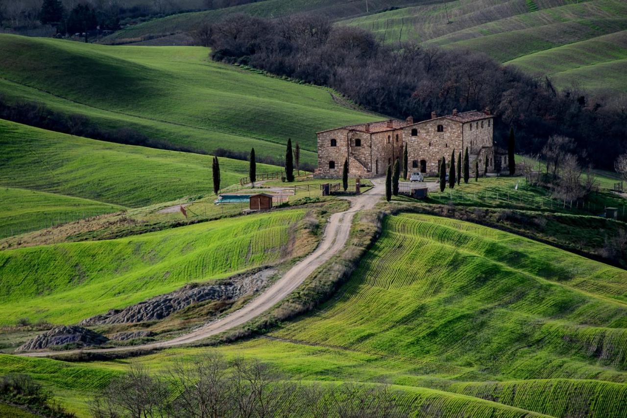 Podere Fossaccio Casa Olivo Asciano Dış mekan fotoğraf