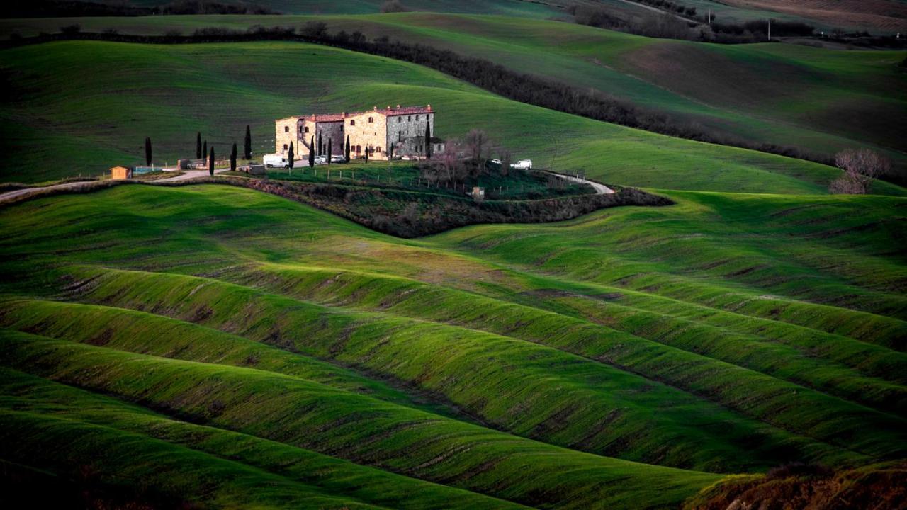 Podere Fossaccio Casa Olivo Asciano Dış mekan fotoğraf