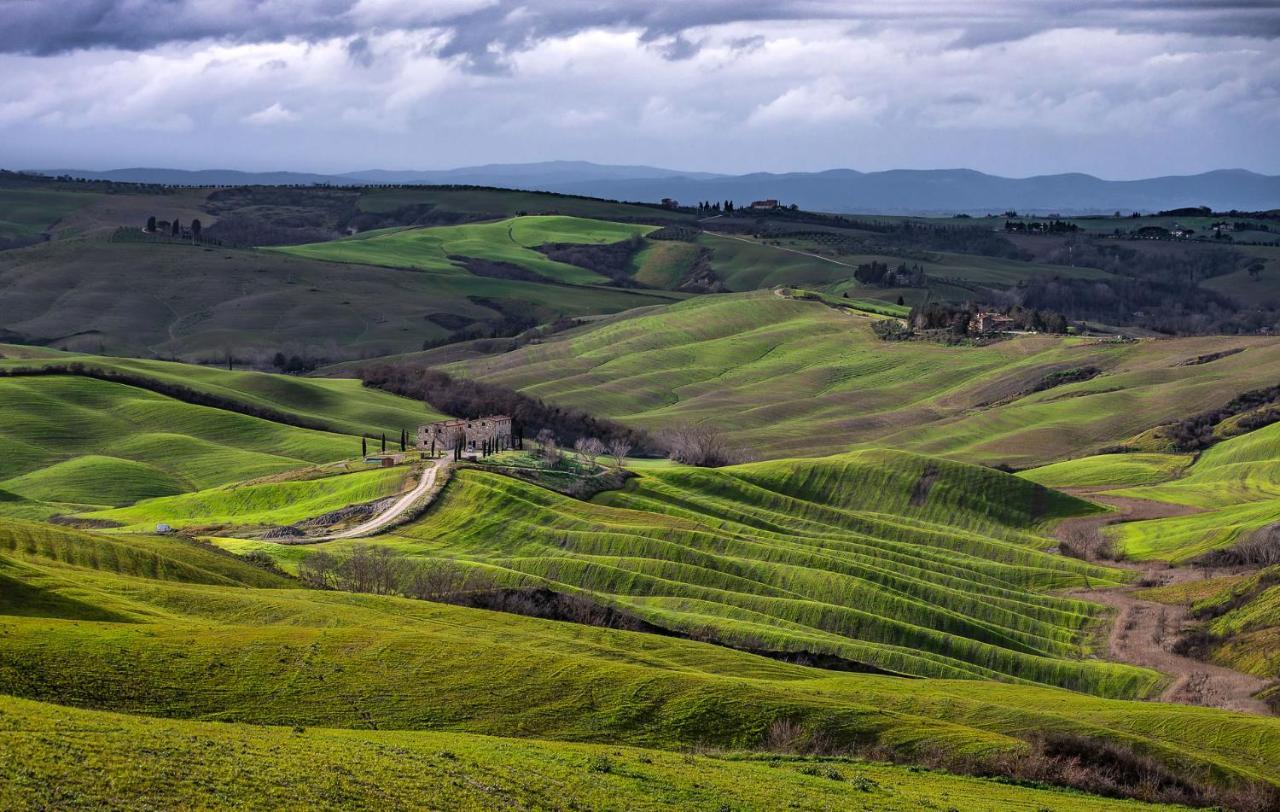 Podere Fossaccio Casa Olivo Asciano Dış mekan fotoğraf