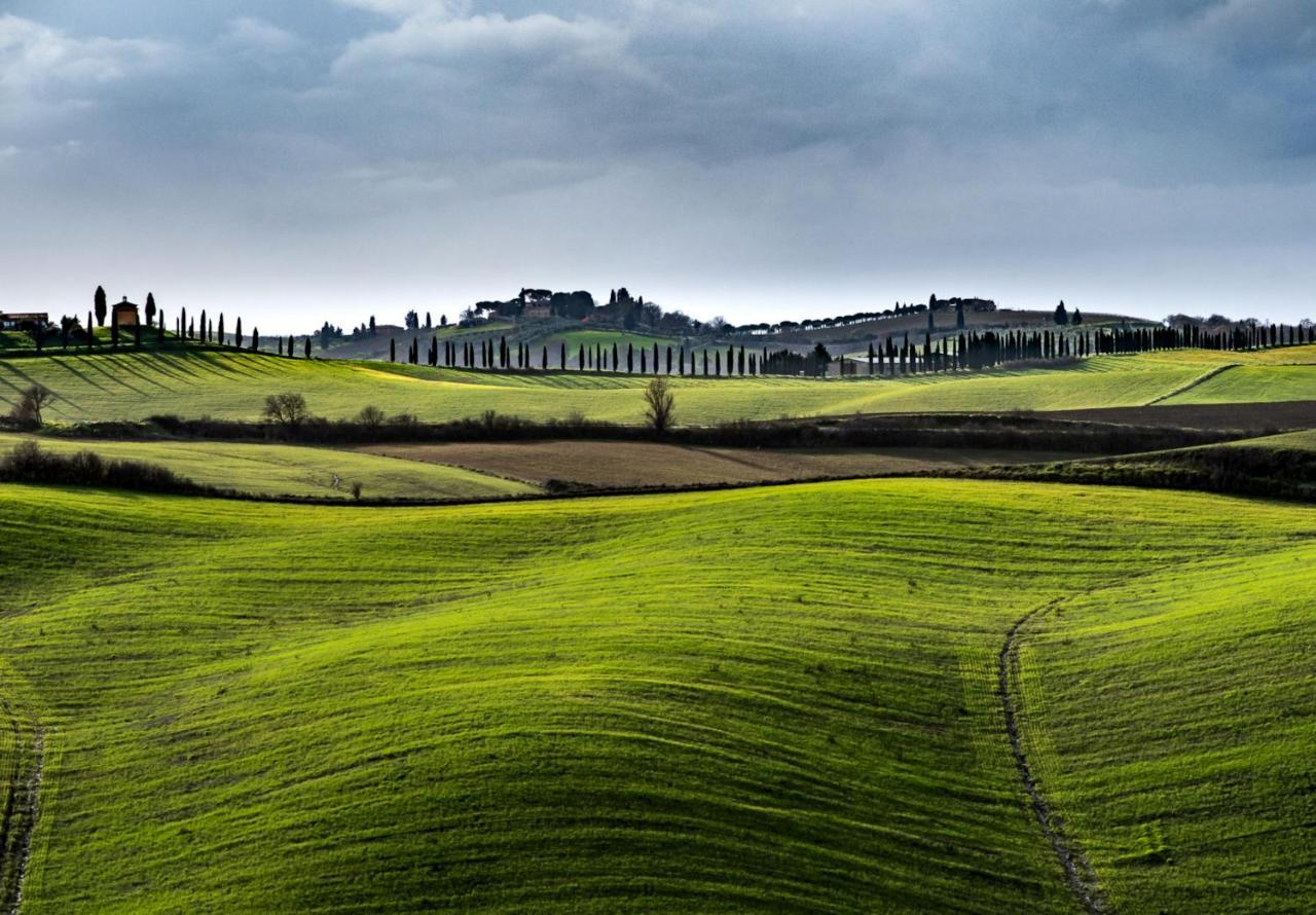 Podere Fossaccio Casa Olivo Asciano Dış mekan fotoğraf