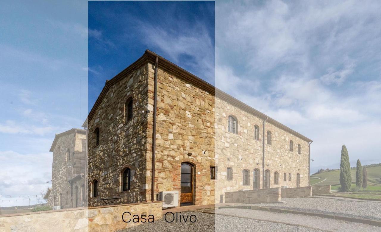 Podere Fossaccio Casa Olivo Asciano Dış mekan fotoğraf