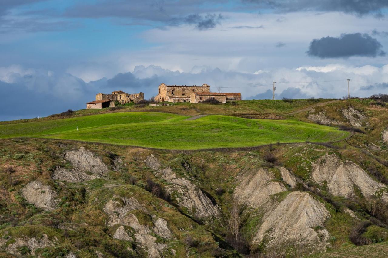Podere Fossaccio Casa Olivo Asciano Dış mekan fotoğraf