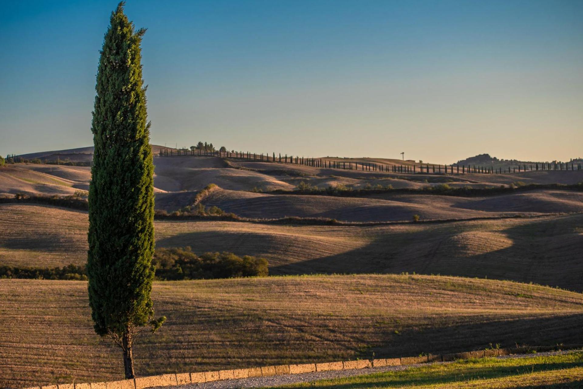 Podere Fossaccio Casa Olivo Asciano Dış mekan fotoğraf